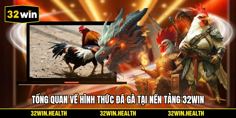 Tổng quan về hình thức đá gà tại nền tảng 32WIN